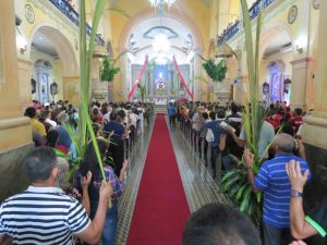 Read more about the article Fiéis lotam Catedral para celebrar o domingo de ramos com santa missa presidida por Dom Sergio