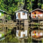 Sínodo para a Amazônia- Novos caminhos para uma maior presença e acompanhamento eclesial ao povo ribeirinho