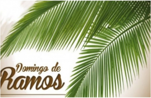 Read more about the article Domingo de Ramos – Artigo de Dom Sergio Castriani – Jornal Em Tempo 4 e 5.4.2020