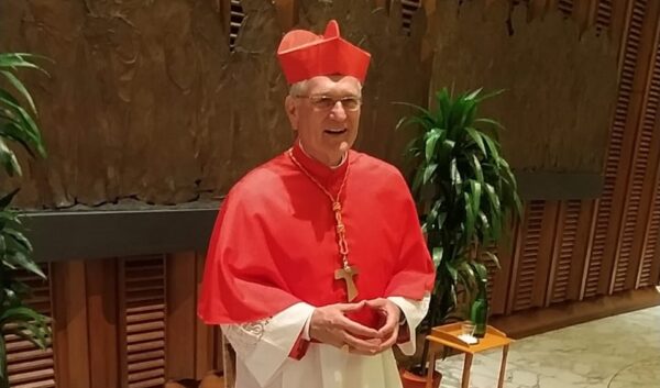 Read more about the article Cardeal Arcebispo Dom Leonardo Steiner chega a 59ª AG CNBB após participação no Consistório em Roma