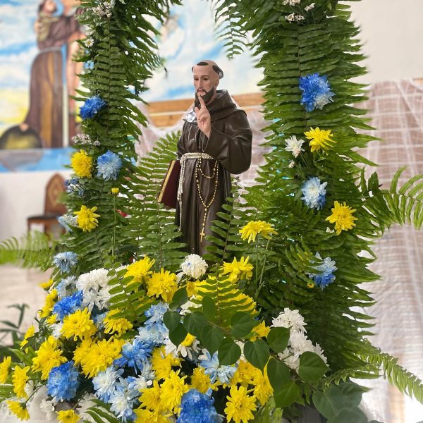 Read more about the article Igreja Católica celebra São Francisco de Assis, patrono da ecologia