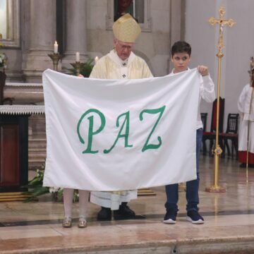 PAZ! – Cardeal Leonardo Steiner