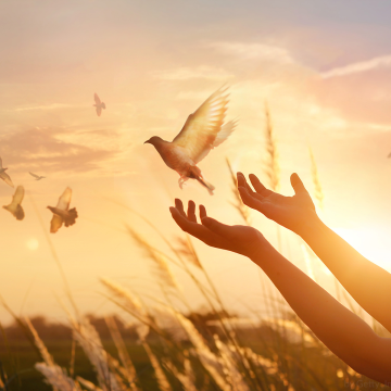 A Paz como sinal profético de vida