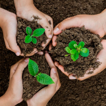 Dia do Meio Ambiente inspira reflexão sobre o cuidado com a criação de Deus